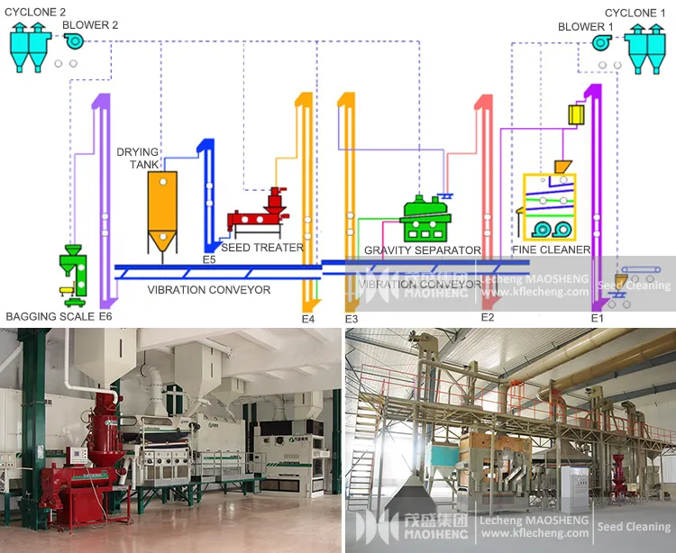 Seed Cleaning Plant