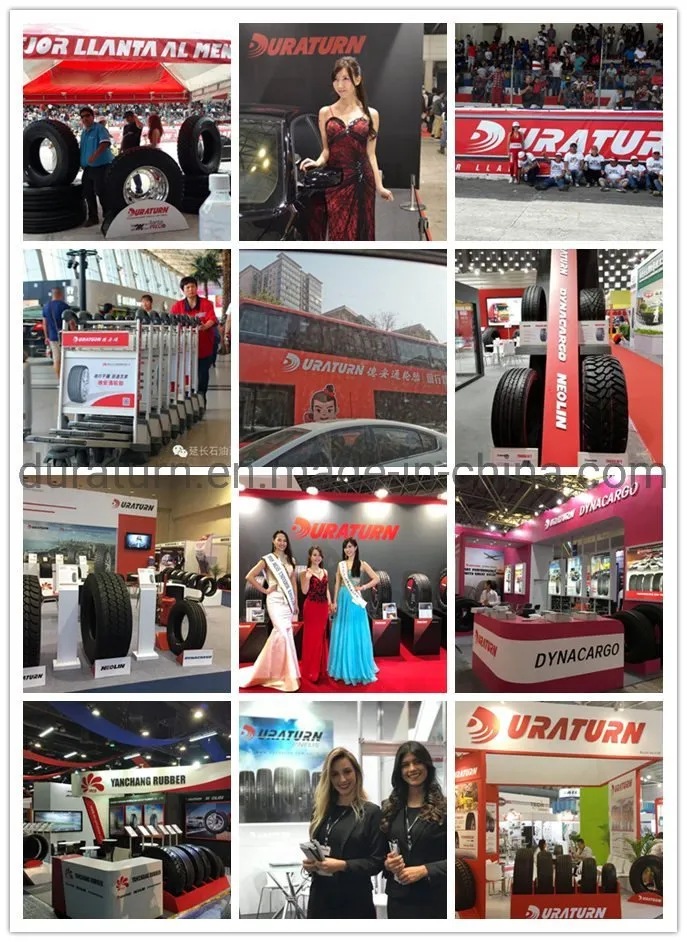 International Exhibition