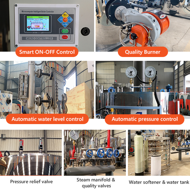 Natural Gas Biogas Diesel Fired Hot Water Heater Boiler for Winter