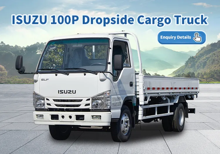 Isuzu Cargo Light Truck
