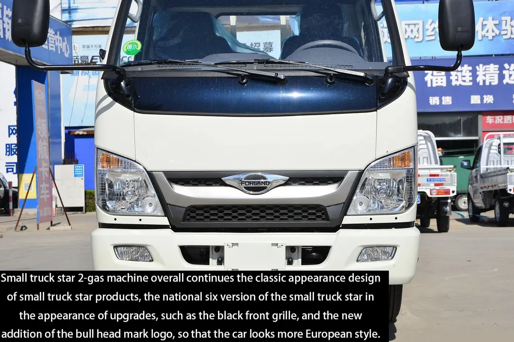 Commercial Truck Photo 3