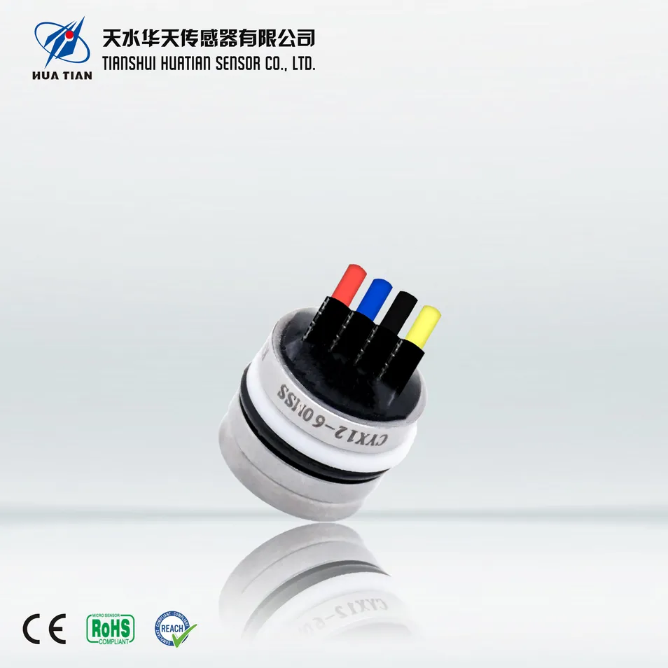 Silicon Piezoresistive Sensor View 2