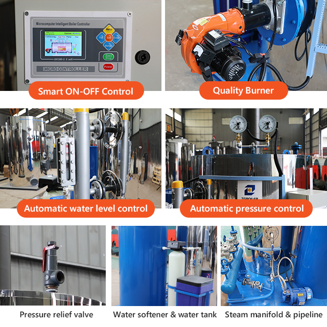 Natural Gas Biogas Diesel Fired Hot Water Heater Boiler for Winter