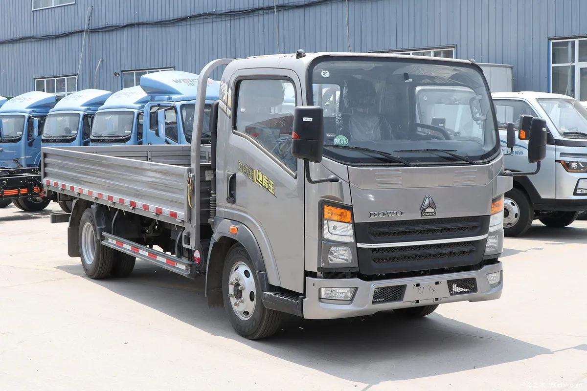 HOWO 4X2 Cargo Truck View 1