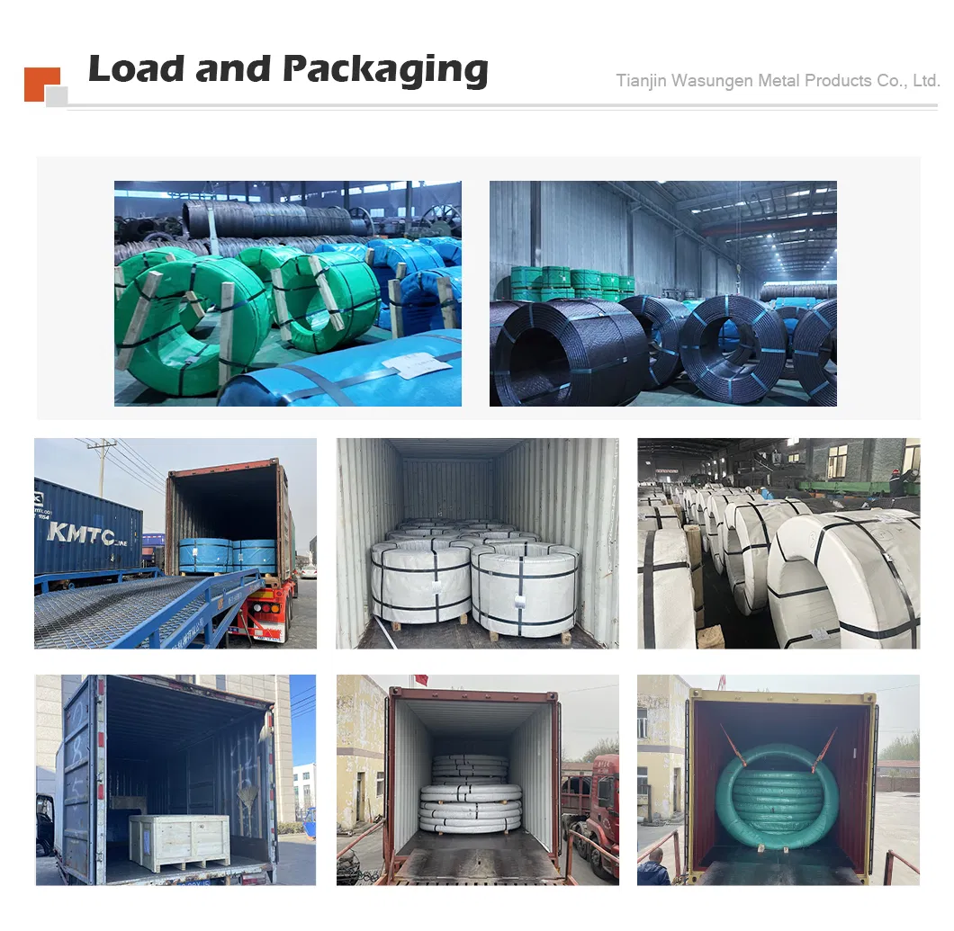 Customization Options