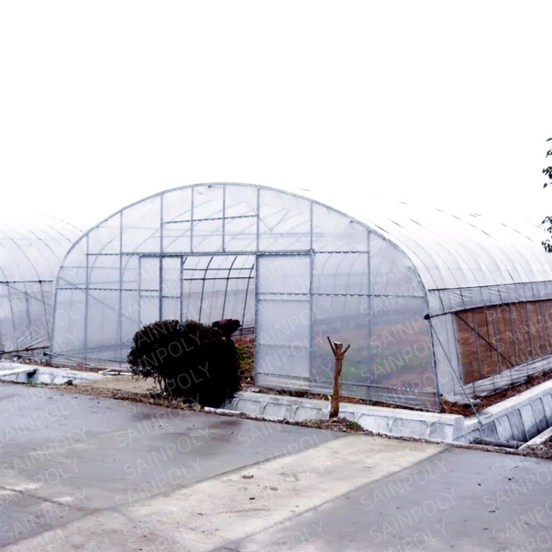 Mini Single Span Hydroponic Agricultural Tomato Film Tunnel Greenhouse Efficient Growth