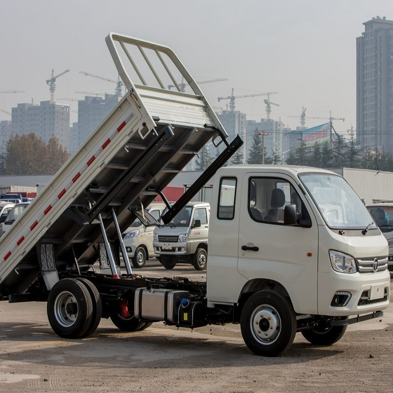 Sinotruk HOWO/JAC/Foton Light Small 3tons Left Rubber LHD Right Hand Drive Rhd 4tons 5tons 6tons Tipper Dump Truck for Sale