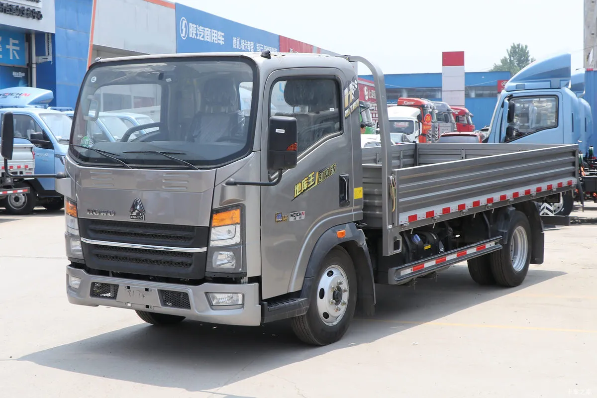 HOWO 4X2 Cargo Truck View 3