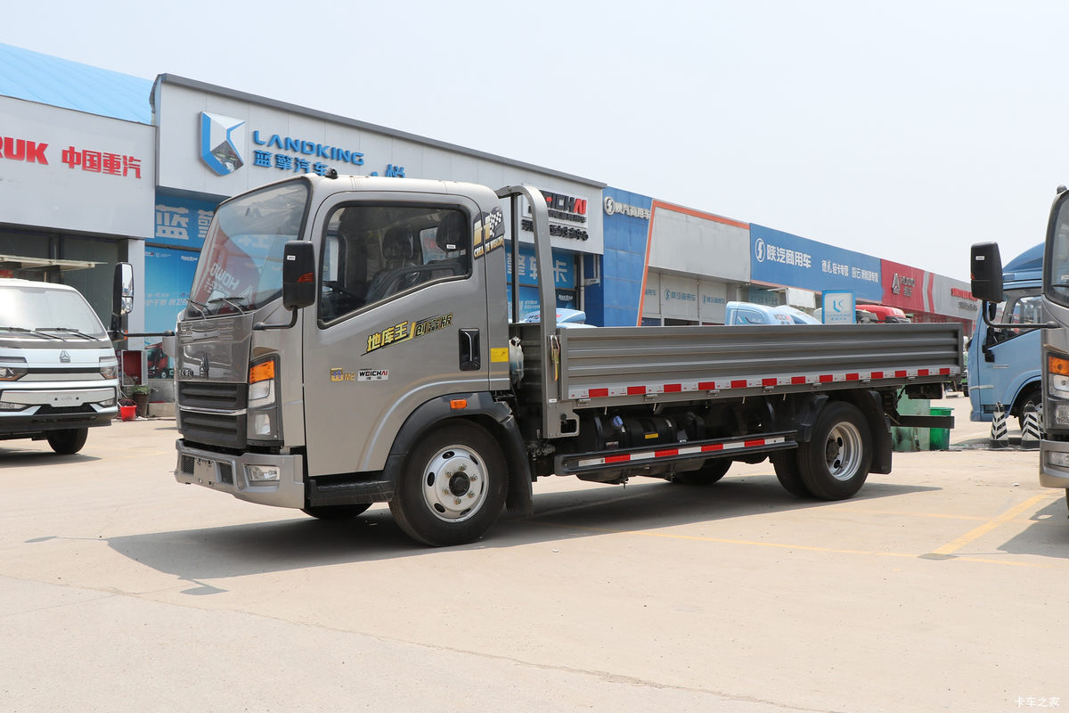 Brand New HOWO 4X2 Cargo Truck Light Truck