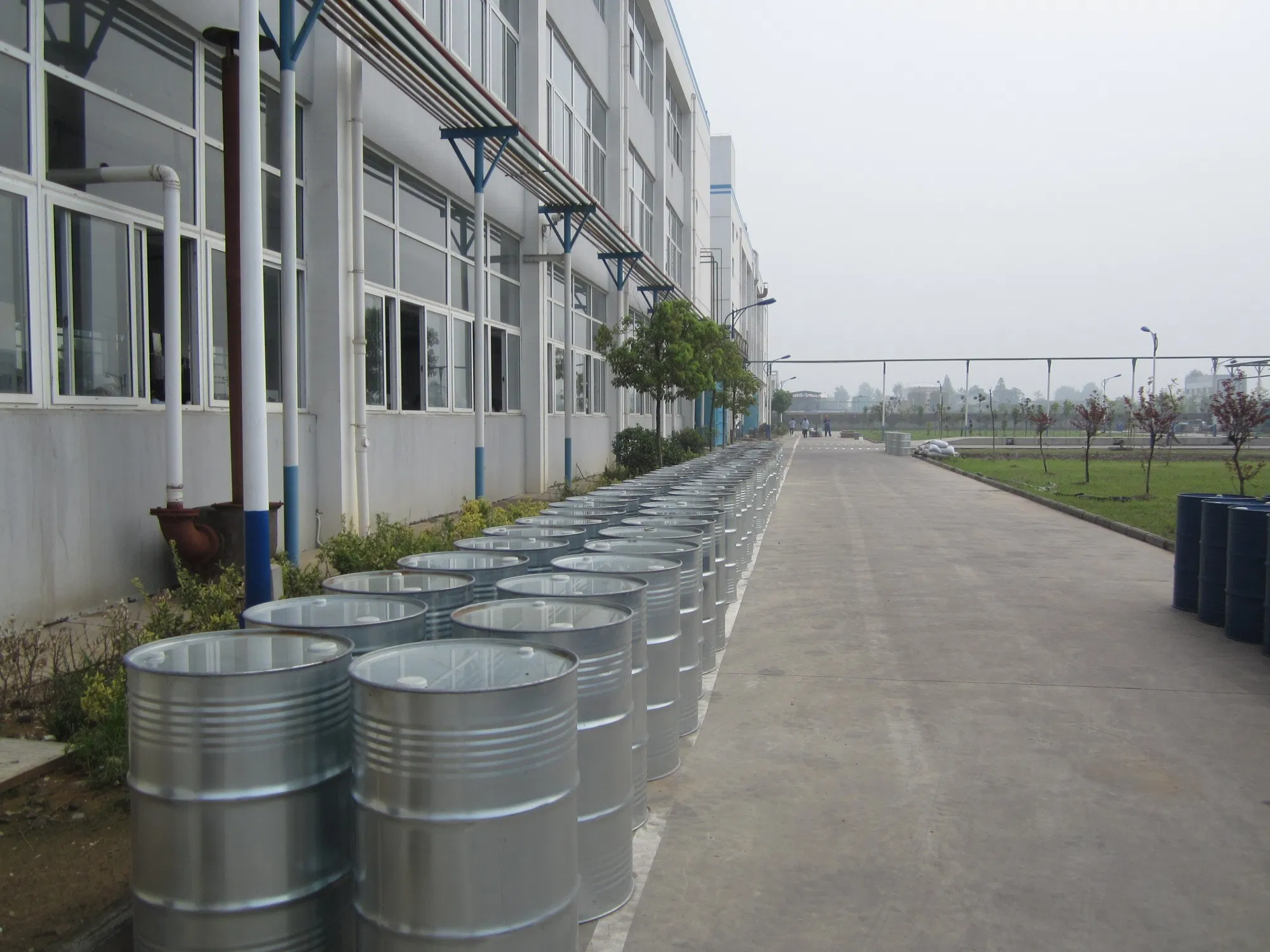 Agricultural Chemicals Insecticide Abamectin (Tc Ew Ec Wp) Pesticide