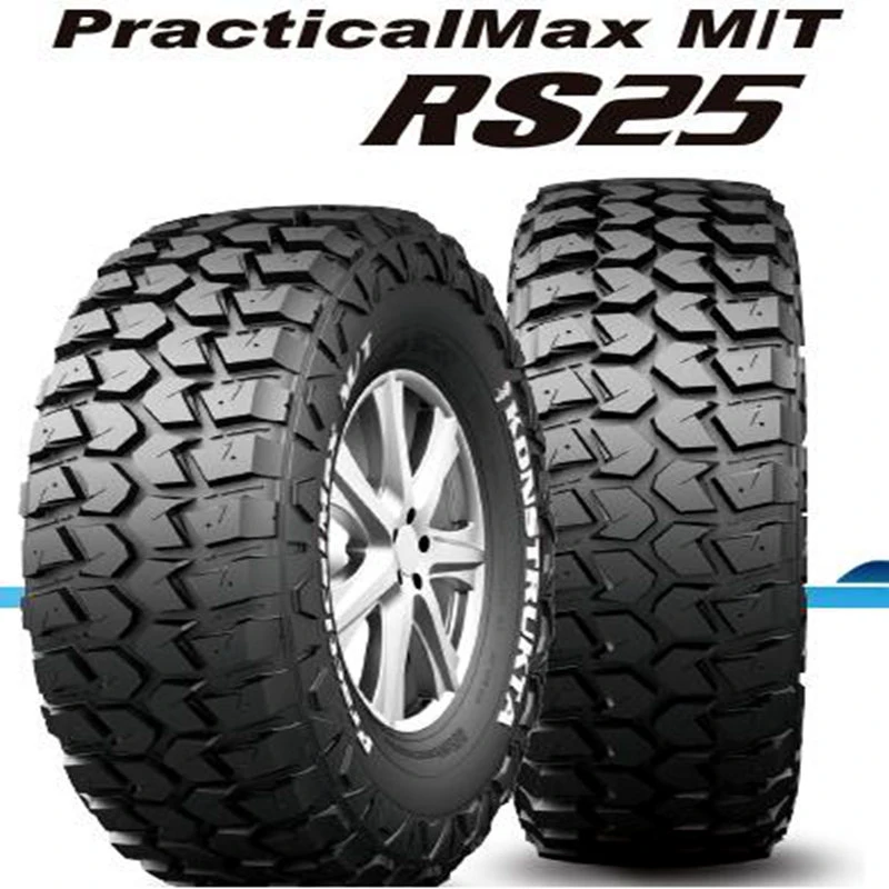 All Season Summer Winter Passenger Car Tire PCR Taxi Tire SUV Tyre (205/55R16, 225/35ZR20)