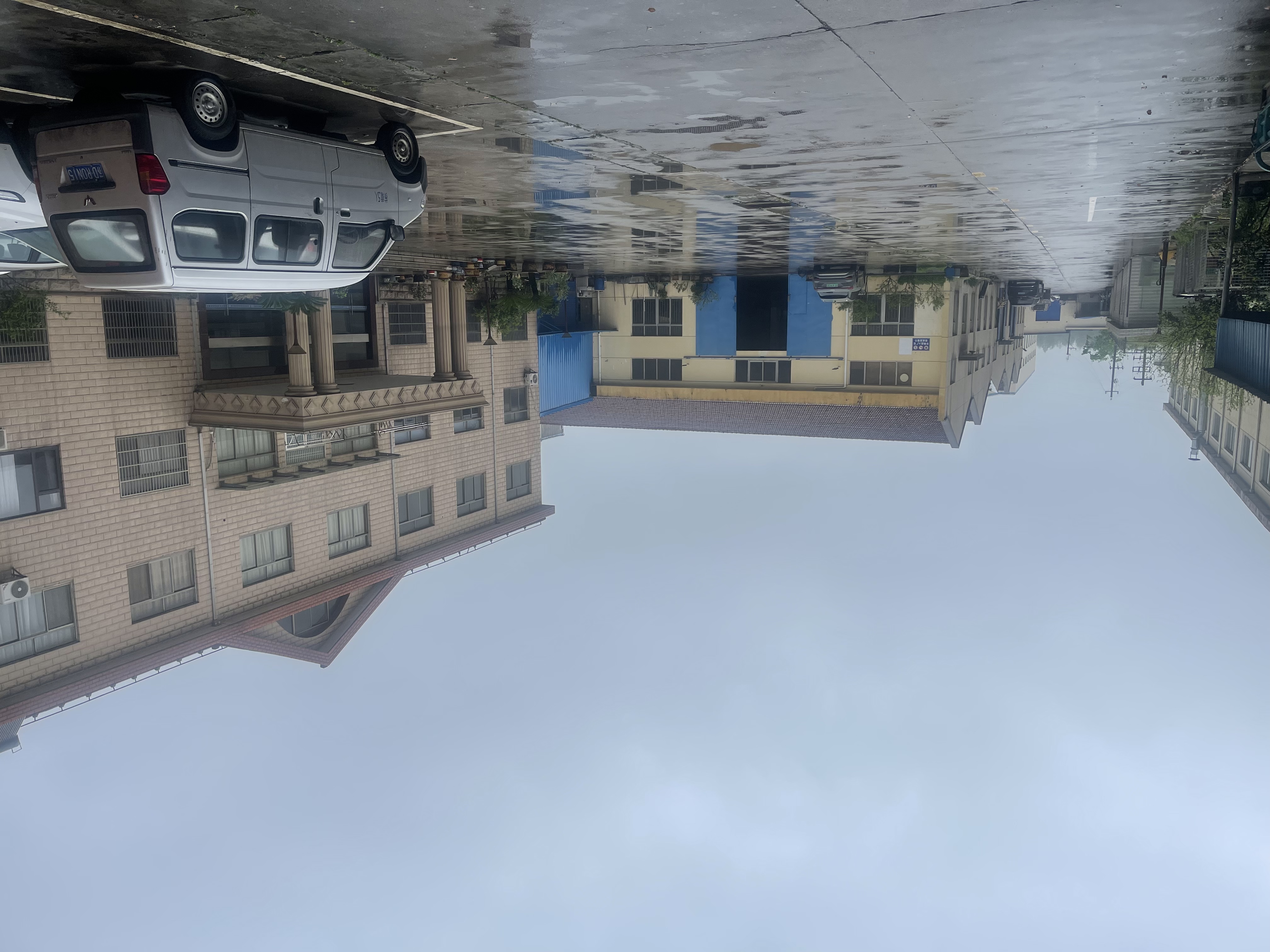 Showcase Grid 1