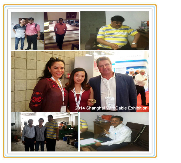 Our Exhibitions
