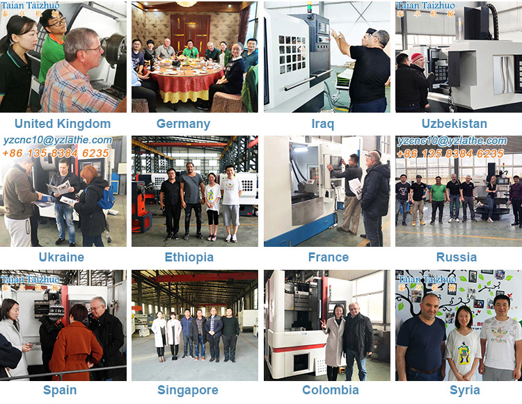 International clients visiting the factory