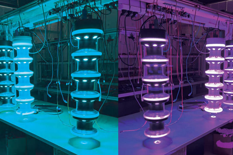 3D Matrix Bamboo Light Effect