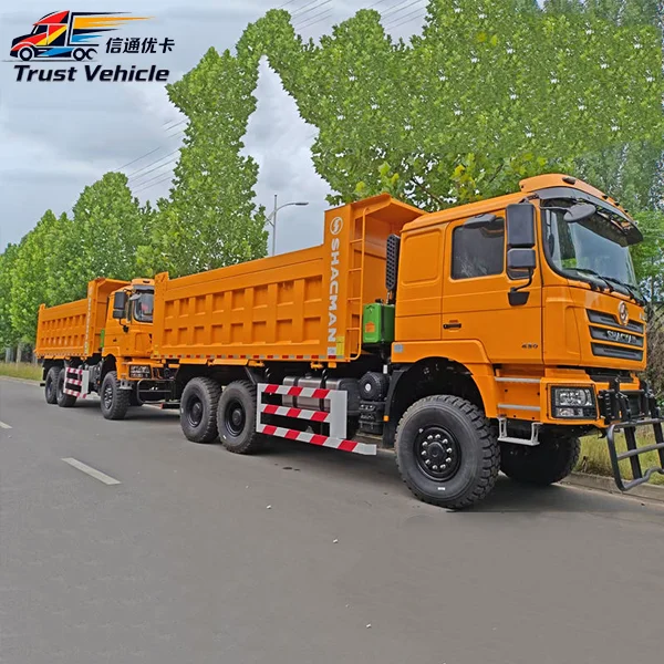 Shacman F3000 6×6 20 Cubic Dump Truck