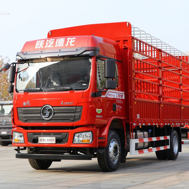 Shacman Delong 4×2 Truck Carrier Vehicle