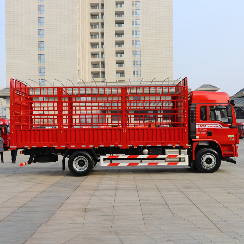 Shacman Delong 4×2 Truck Carrier Vehicle
