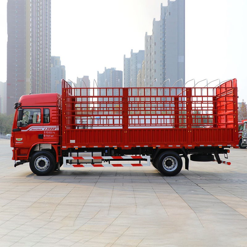 Shacman Delong 4×2 Truck Carrier Vehicle