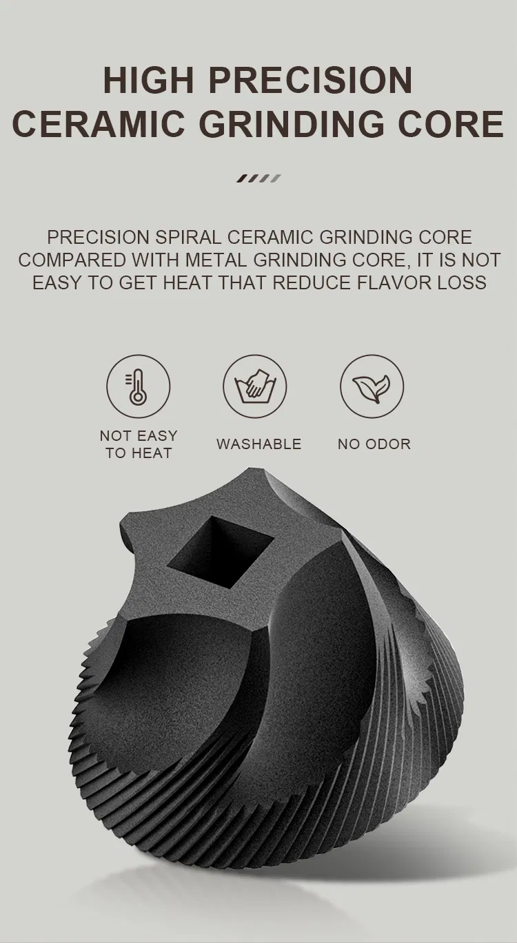 Internal Structure 2