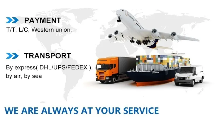 Payment and Delivery Information