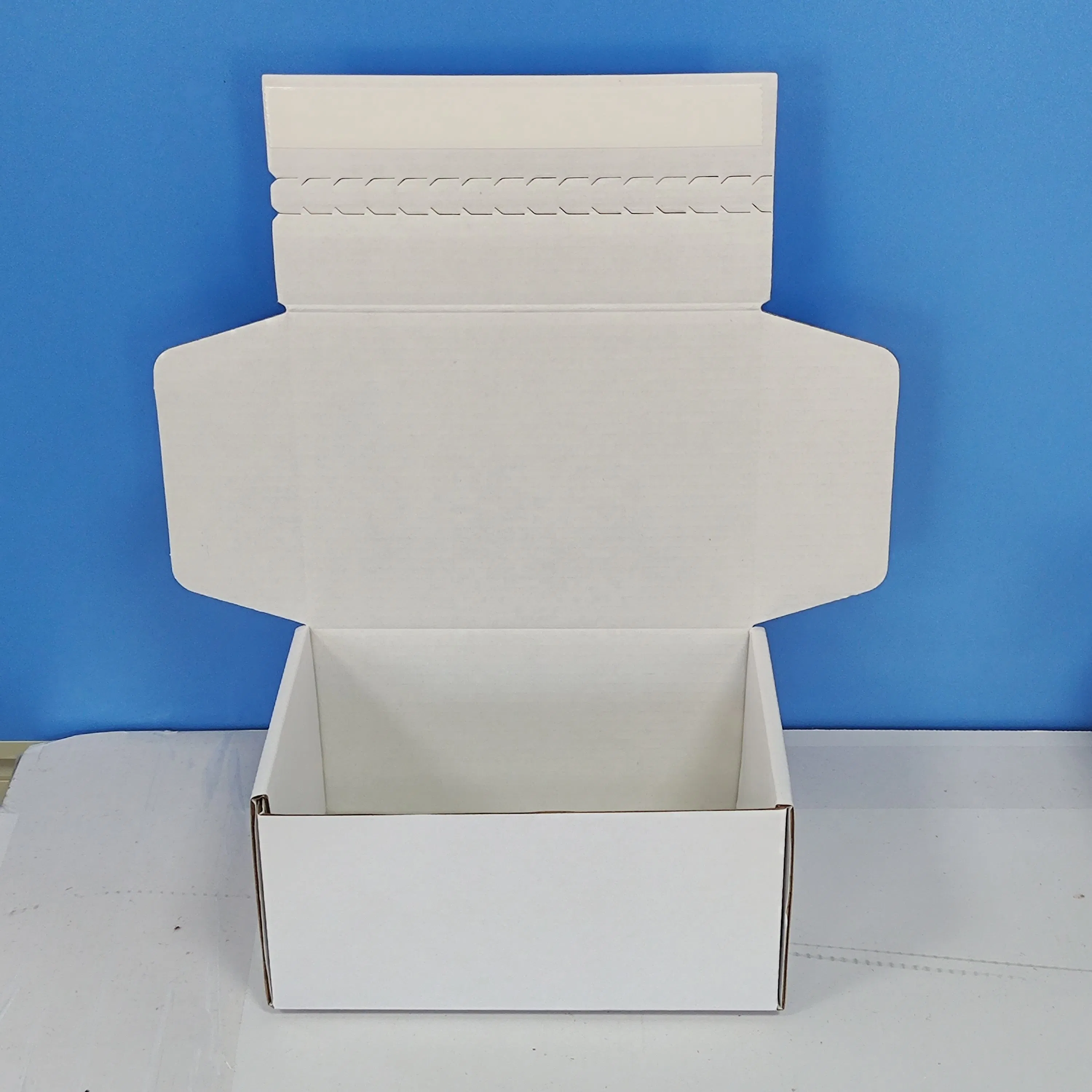 Cajas de embalaje autoadhesivas de Kraft personalizadas con cierre de cremallera y tira de fácil desgarro para envío