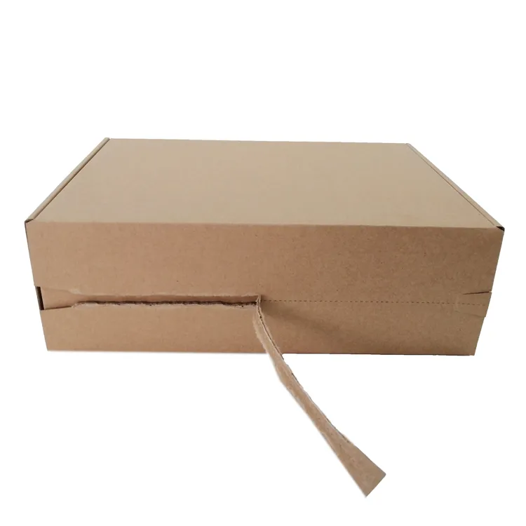 Cajas de embalaje autoadhesivas de Kraft personalizadas con cierre de cremallera y tira de fácil desgarro para envío