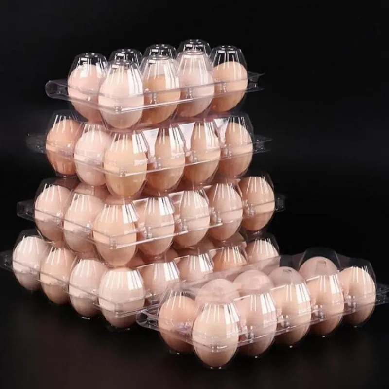 Industria Alimentaria Negocio Productos Agrícolas Venta de Huevos Cajas de Embalaje de Plástico para Huevos
