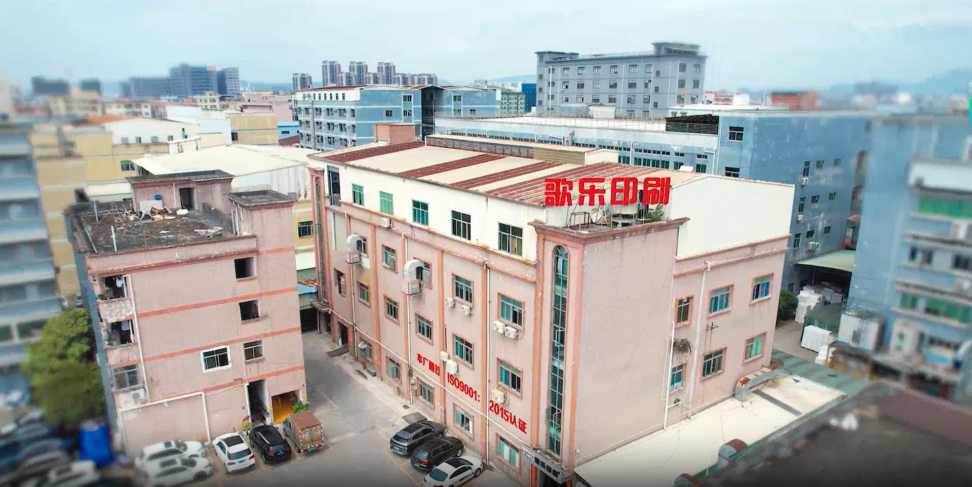 Company overview