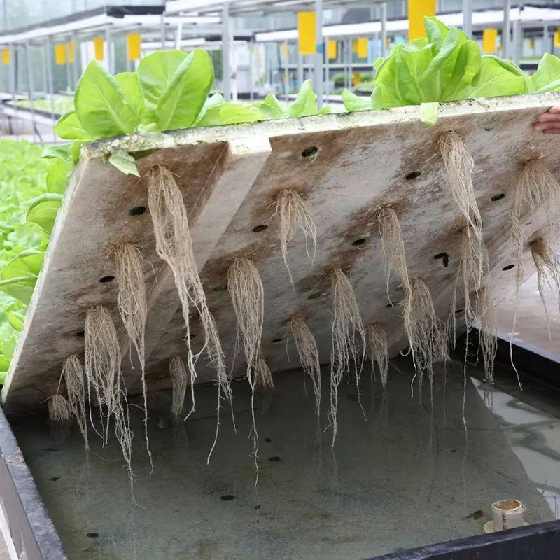 Intelligent Automation Container Hydroponics System for Streamlined Indoor Farming Tasks