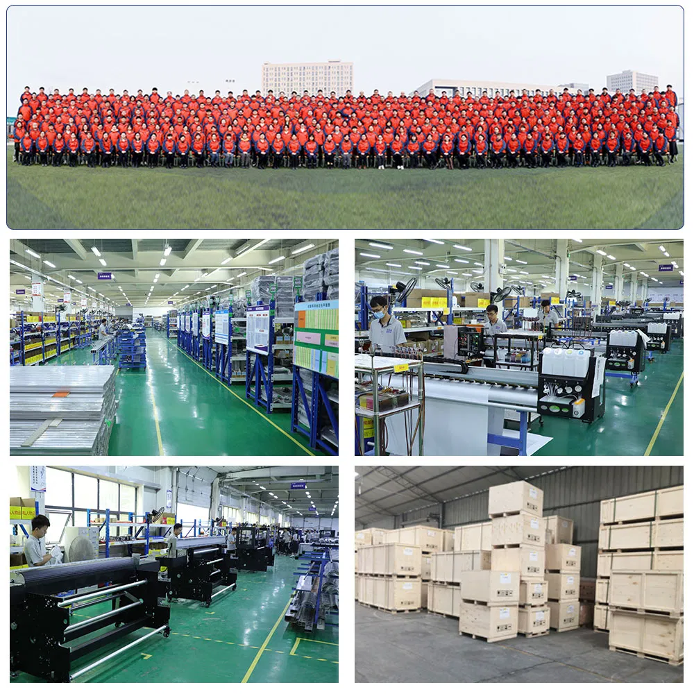 Sunika Hot Small Portable Roll to Roll Needs 30cm Cmyk Color Dtf A3 DTG Printer Printing Machine with Heat Press Machine