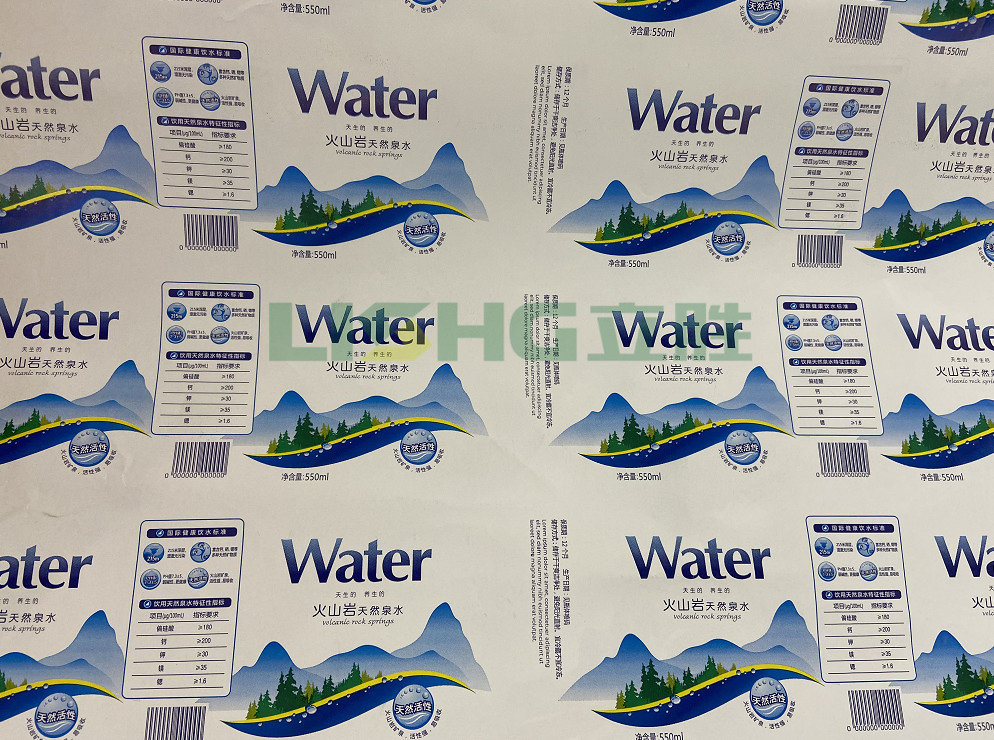 BOPP PE Apparel Sector Printing Flexographic Printing Machine