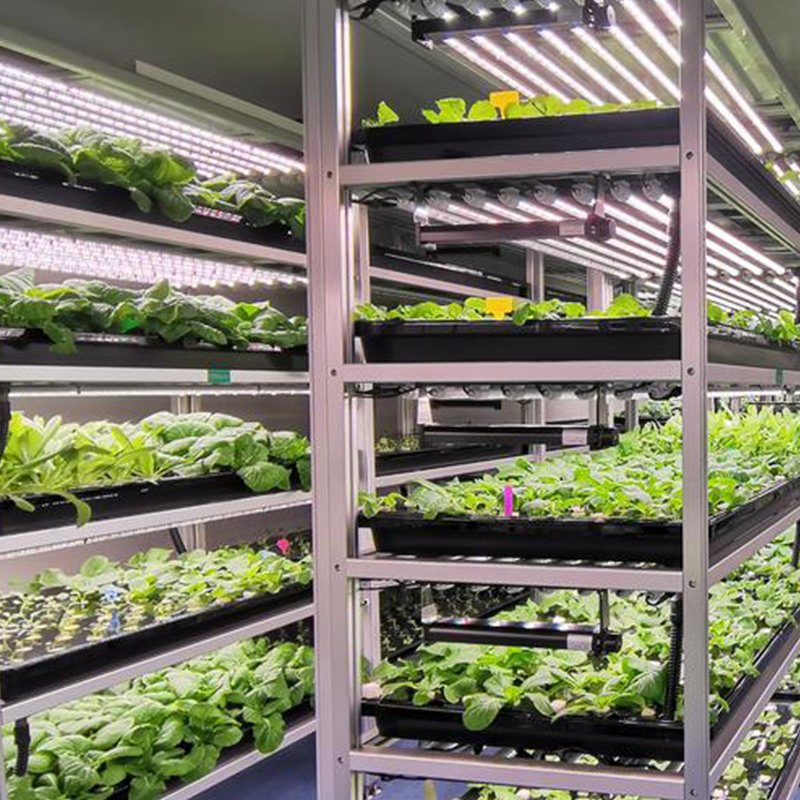 Fully Integrated Container Hydroponics System for Seamless Indoor Farming Automation