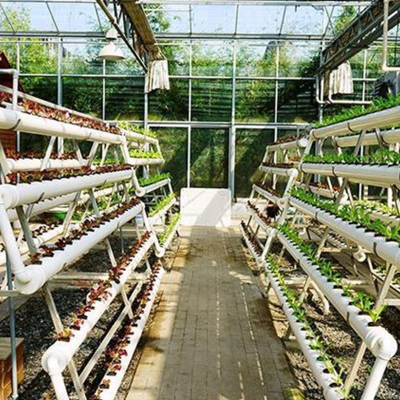 Intelligent Automation Container Hydroponics System for Streamlined Indoor Farming Tasks