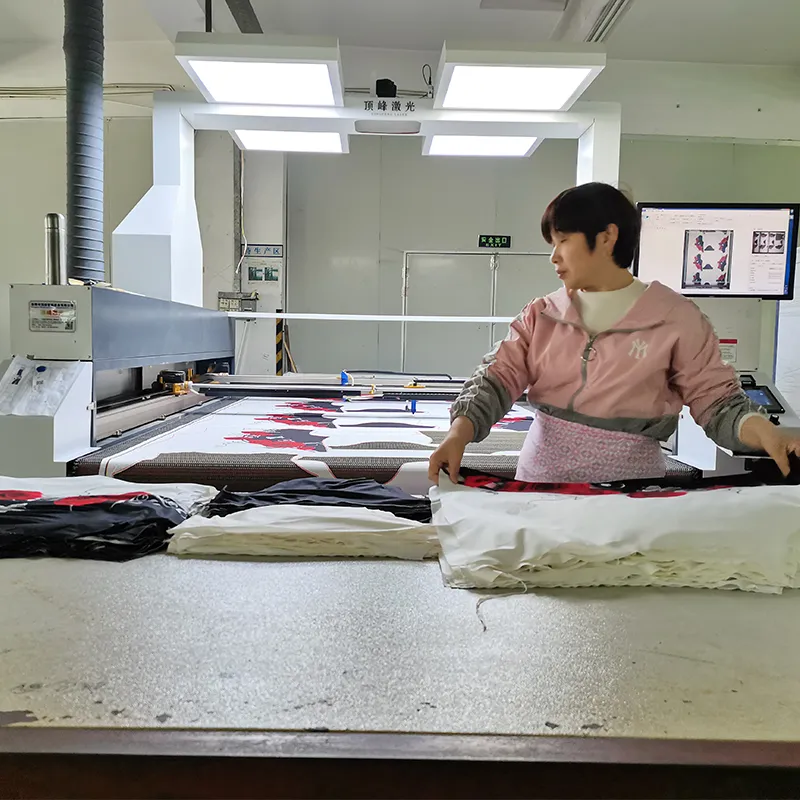 Laser Cutter Panorama System