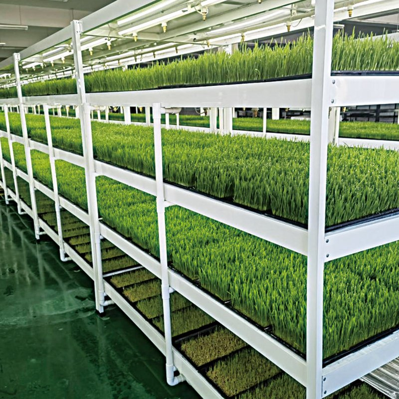 Intelligent Automation Container Hydroponics System for Streamlined Indoor Farming Tasks