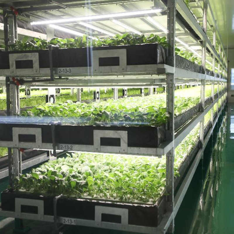 Fully Integrated Container Hydroponics System for Seamless Indoor Farming Automation