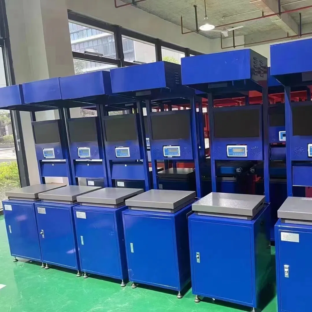 Advanced Logistics Weighing System for Fast Parcel Delivery