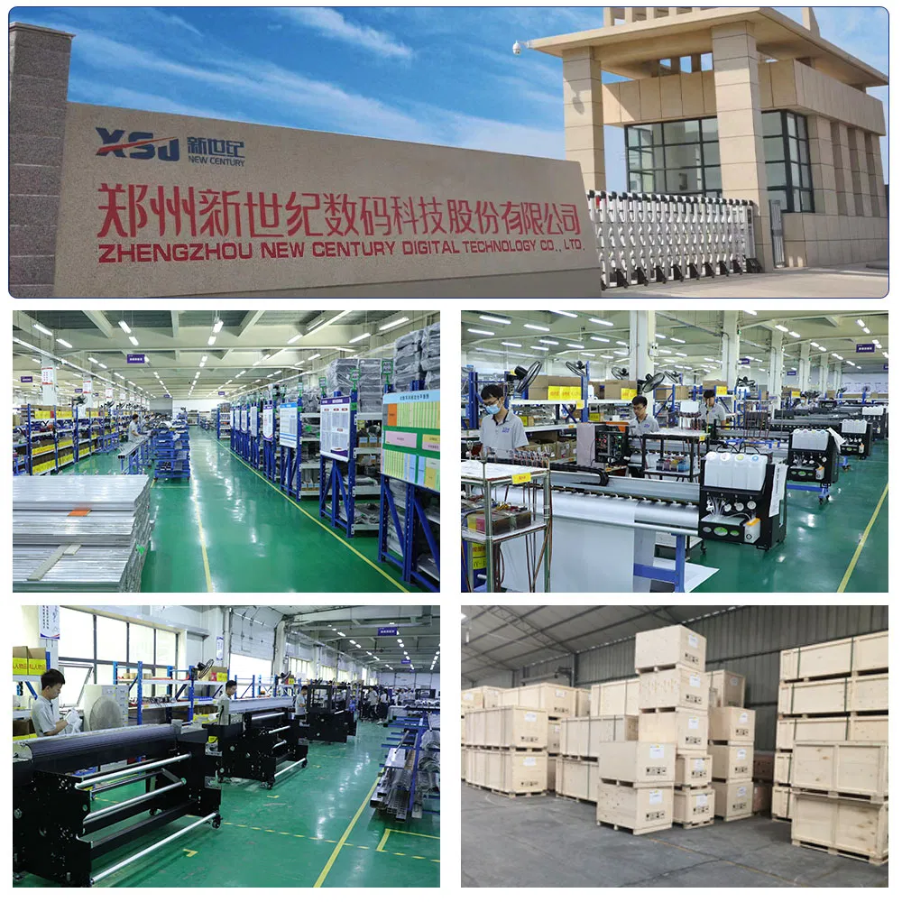 Sunika Hot Small Portable Roll to Roll Needs 30cm Cmyk Color Dtf A3 DTG Printer Printing Machine with Heat Press Machine