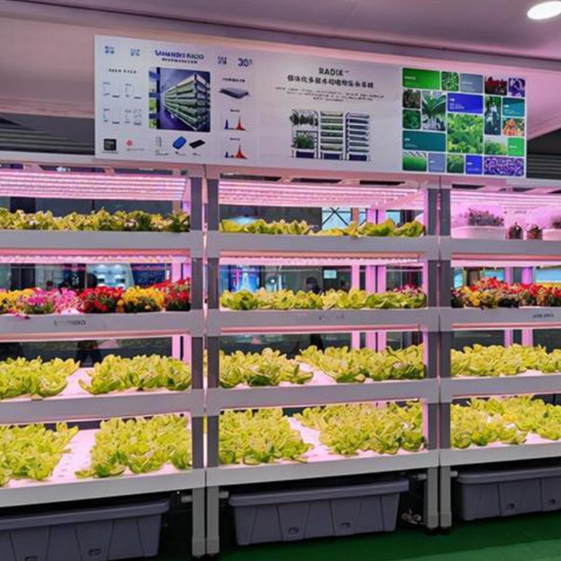 Intelligent Automation Container Hydroponics System for Streamlined Indoor Farming Tasks