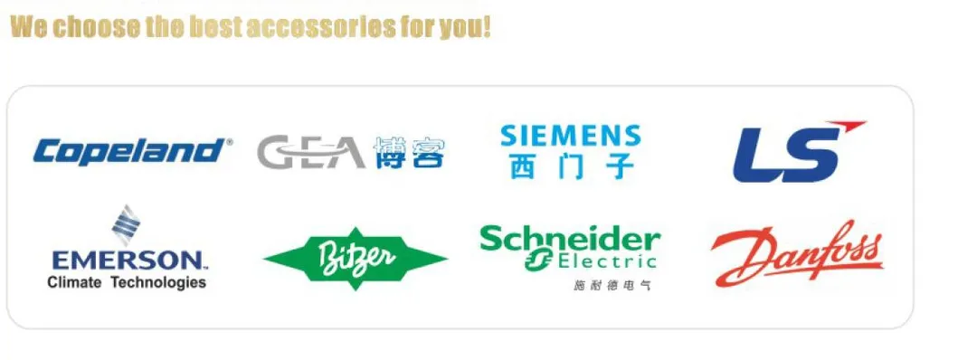 Seafood preservation ice