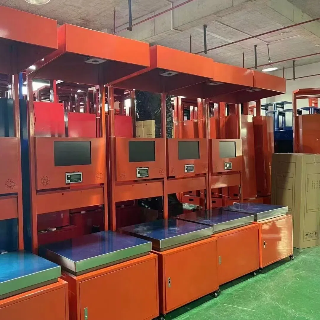 Advanced Logistics Weighing System for Fast Parcel Delivery