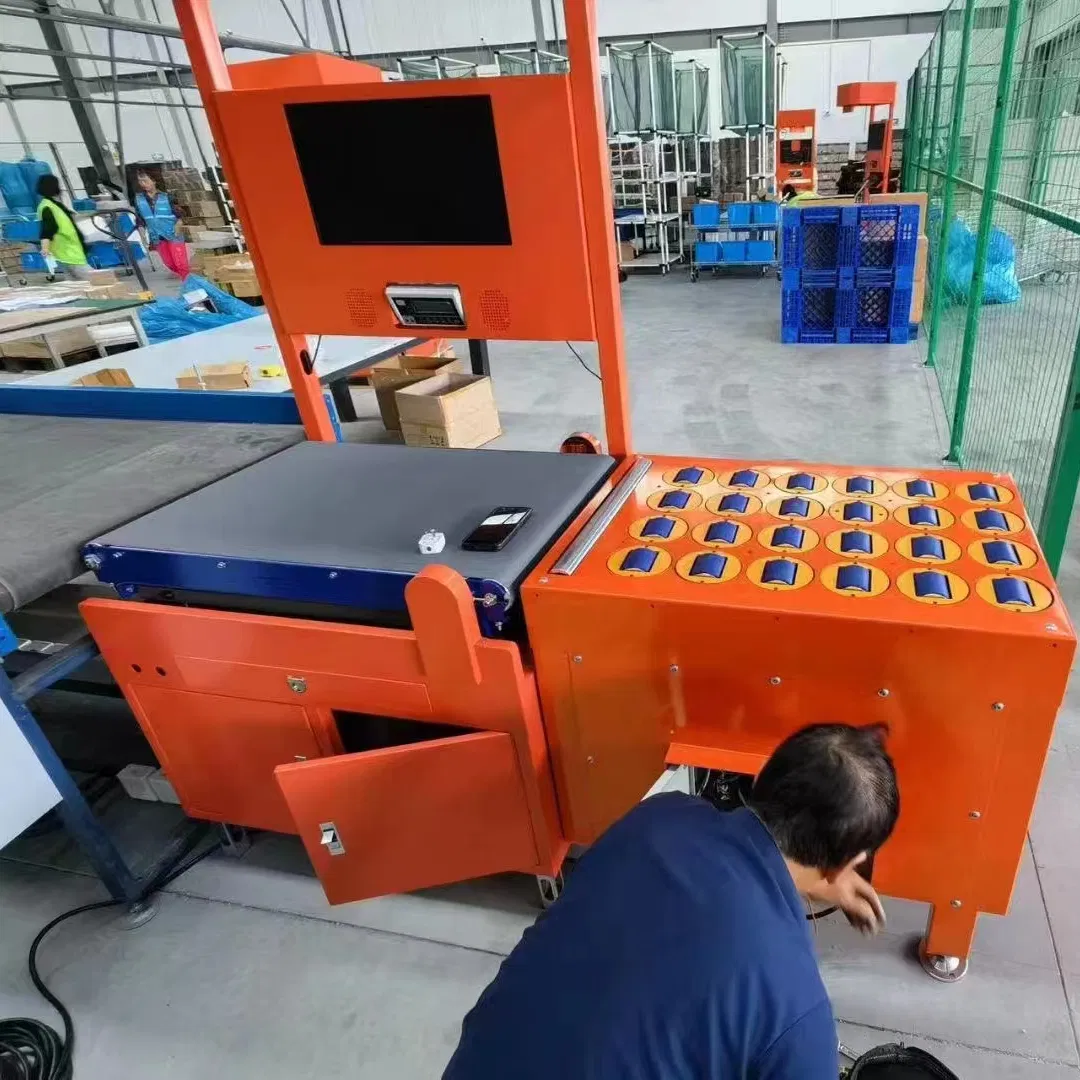 Advanced Logistics Weighing System for Fast Parcel Delivery