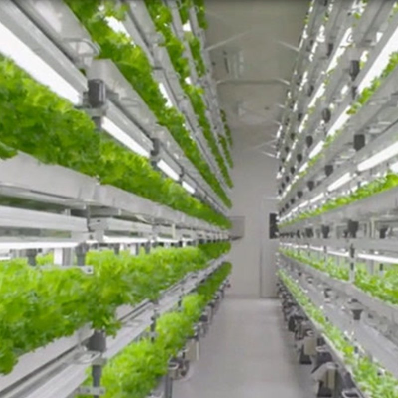 Fully Integrated Container Hydroponics System for Seamless Indoor Farming Automation