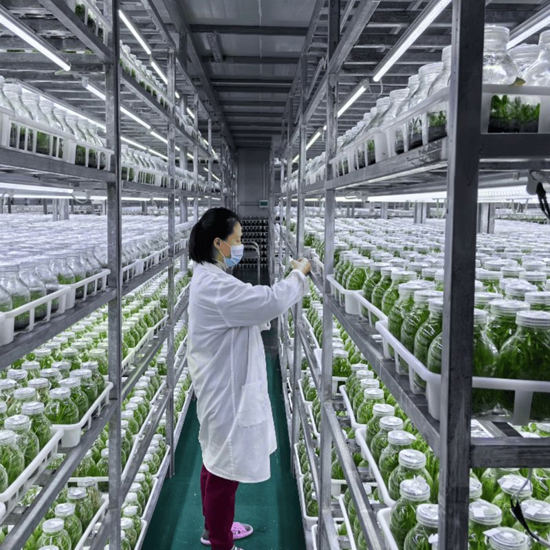 Fully Integrated Container Hydroponics System for Seamless Indoor Farming Automation