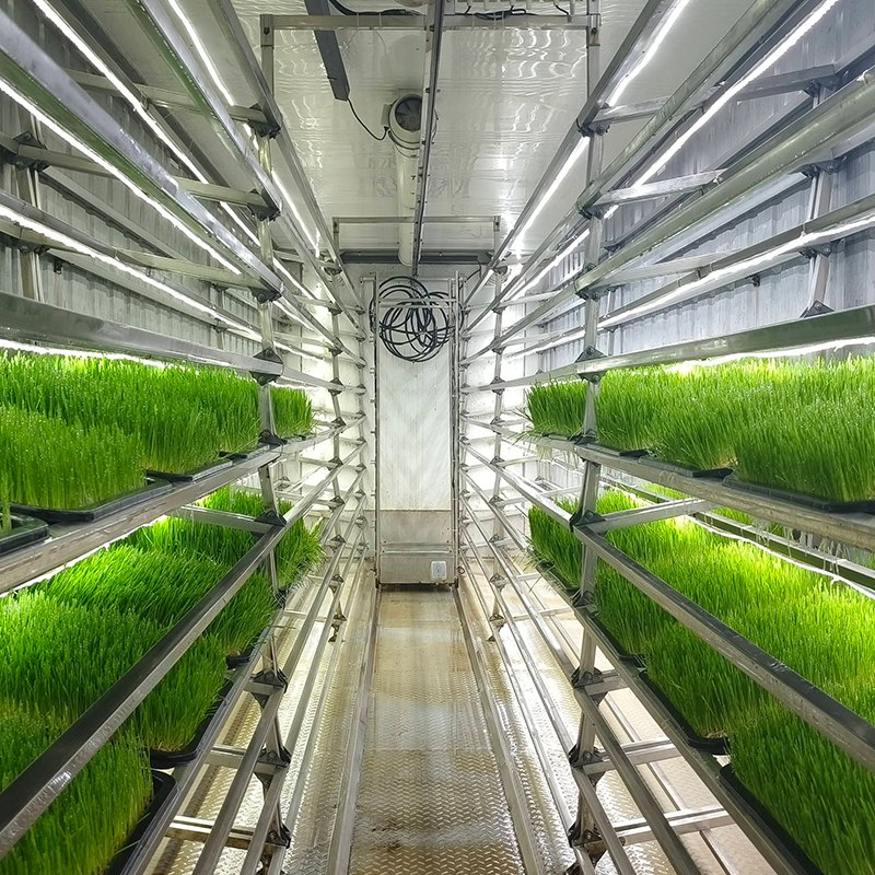 Fully Integrated Container Hydroponics System for Seamless Indoor Farming Automation