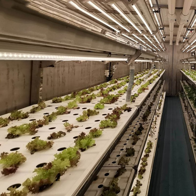 Intelligent Automation Container Hydroponics System for Streamlined Indoor Farming Tasks