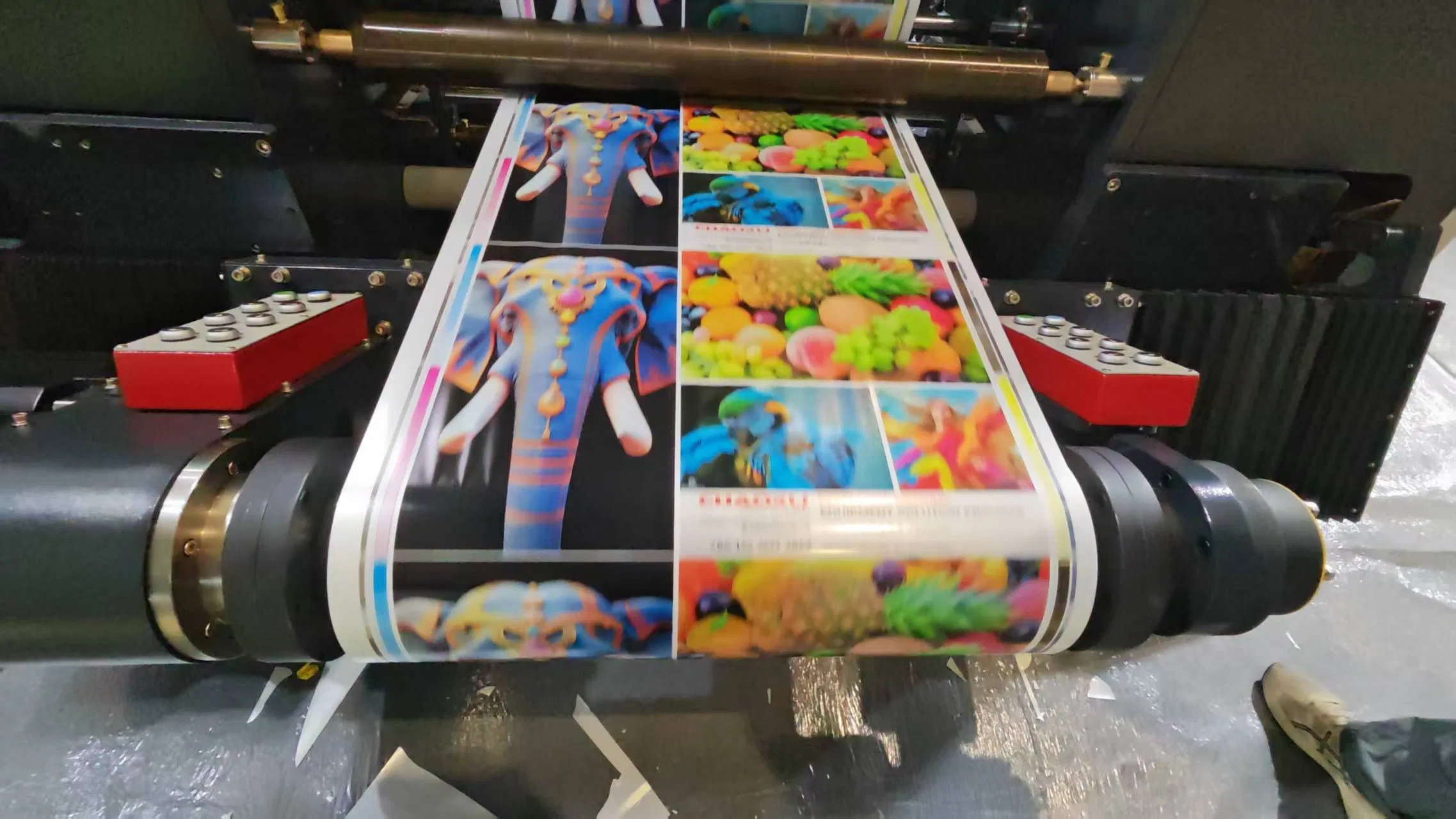 Advanced Flexo Printing Equipment for International Export Solutions