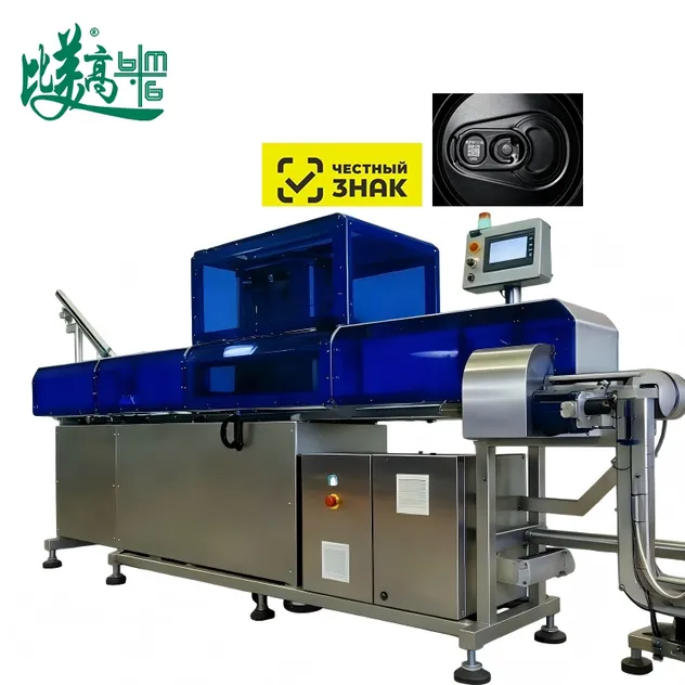 Full-Auto Industrial Laser Marking Machines for Aluminum Can Cap Date Coding Traceability and Defective Product Sorting
