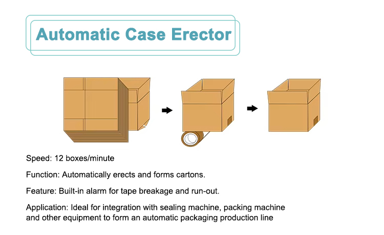 Carton Erecting Process Detail